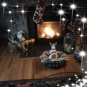 Meet your Posher, Sueann